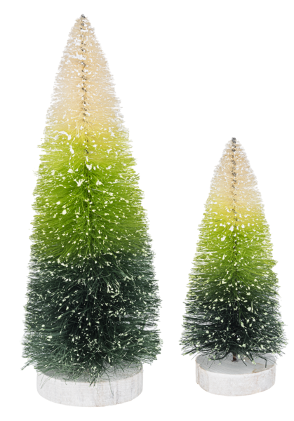 Ombre Green Tree 2 piece set