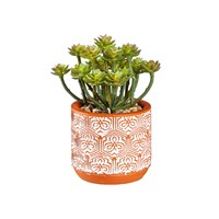 Load image into Gallery viewer, Succulent With Cement Planter
