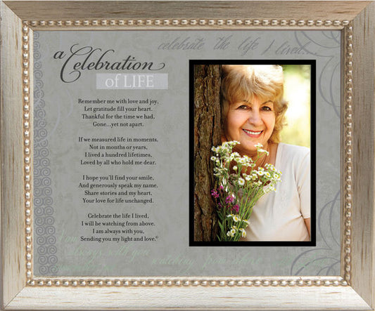 Celebration of Life Frame - Silver